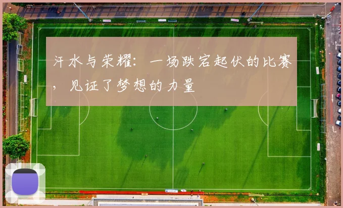 汗水与荣耀：一场跌宕起伏的比赛，见证了梦想的力量