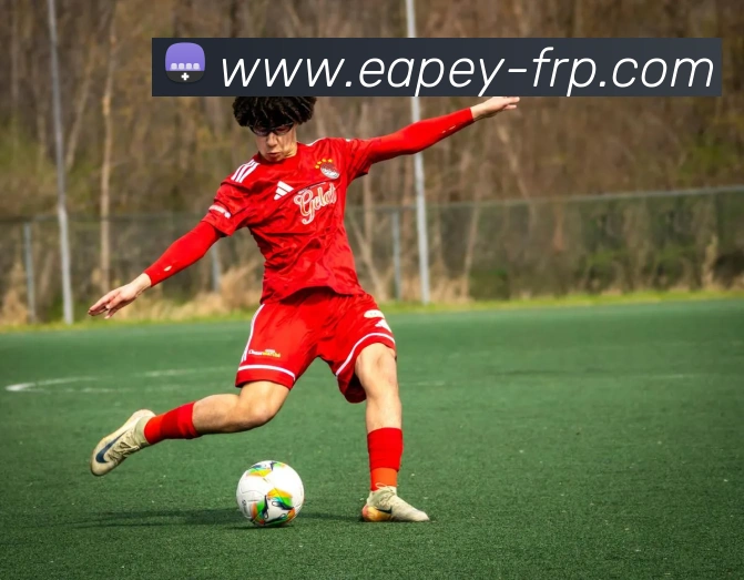 核心证书